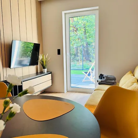 Przystanek Mierzyn *